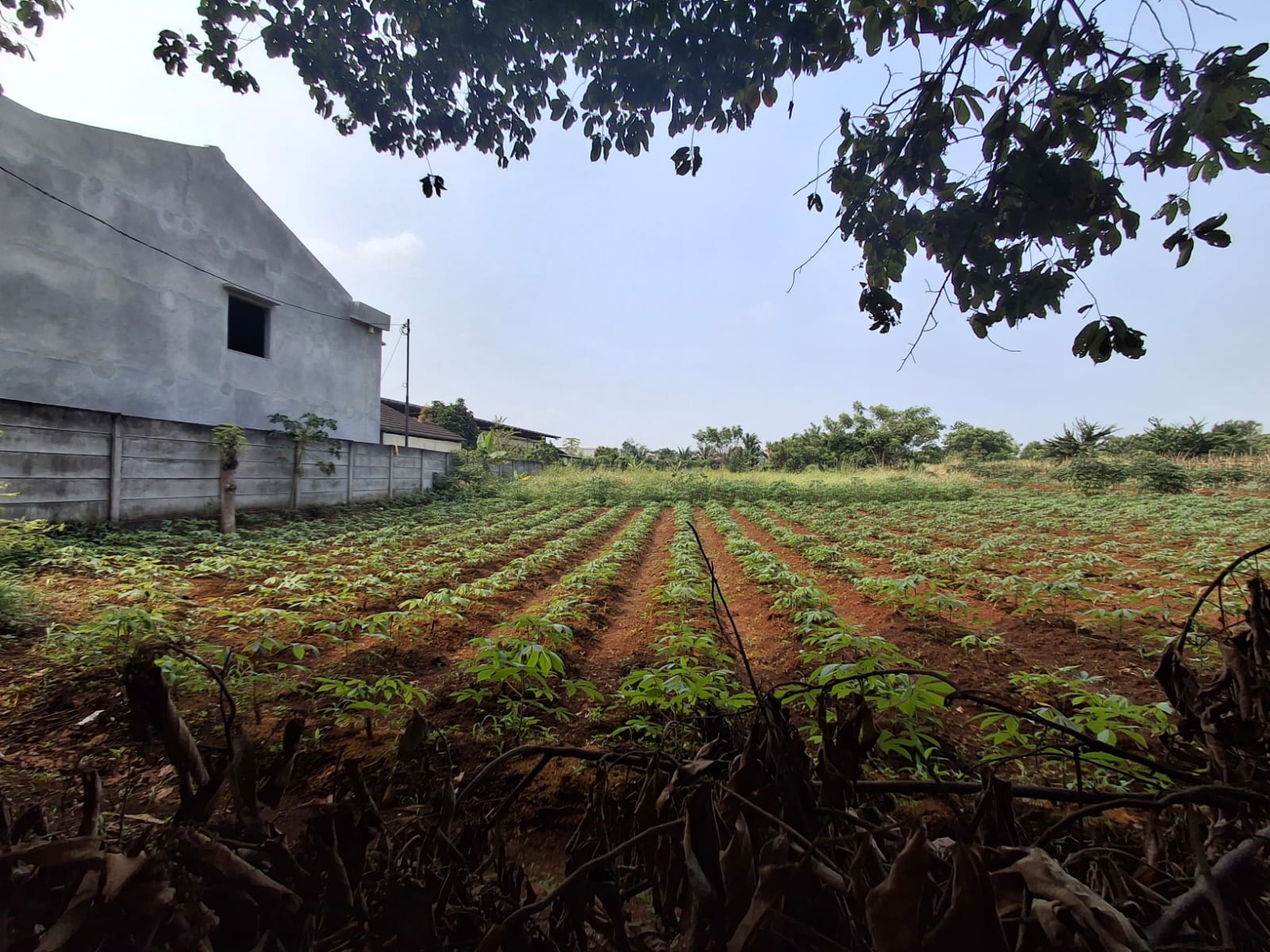 Prime Land for Sale for Warehouse & Office at Legok