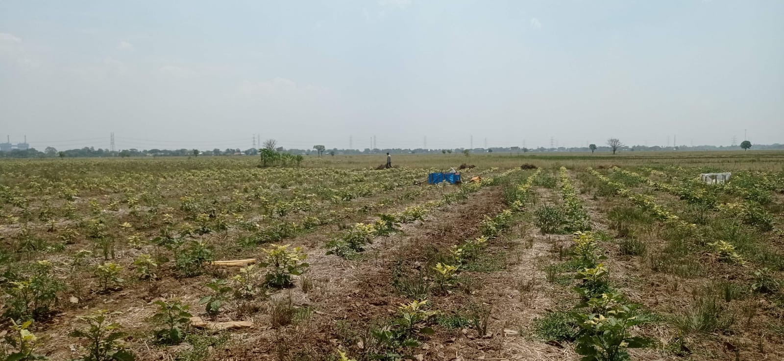 Industry Land – North Bekasi